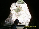 Plants: image 1 0f 6 thumb