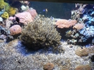 Plants: image 1 0f 6 thumb