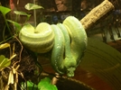 Plants: image 6 0f 6 thumb