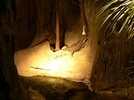 Plants: image 1 0f 6 thumb