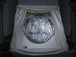 Plants: image 1 0f 6 thumb