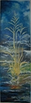 Plants: image 4 0f 5 thumb